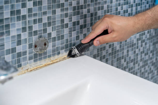 Best Best Mold Removal Companies  in Fort Myers Shores, FL