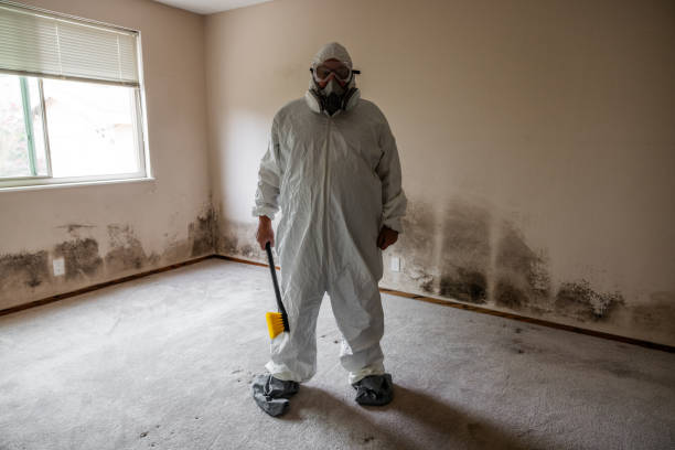 Mold Removal and Inspection in Fort Myers Shores, FL